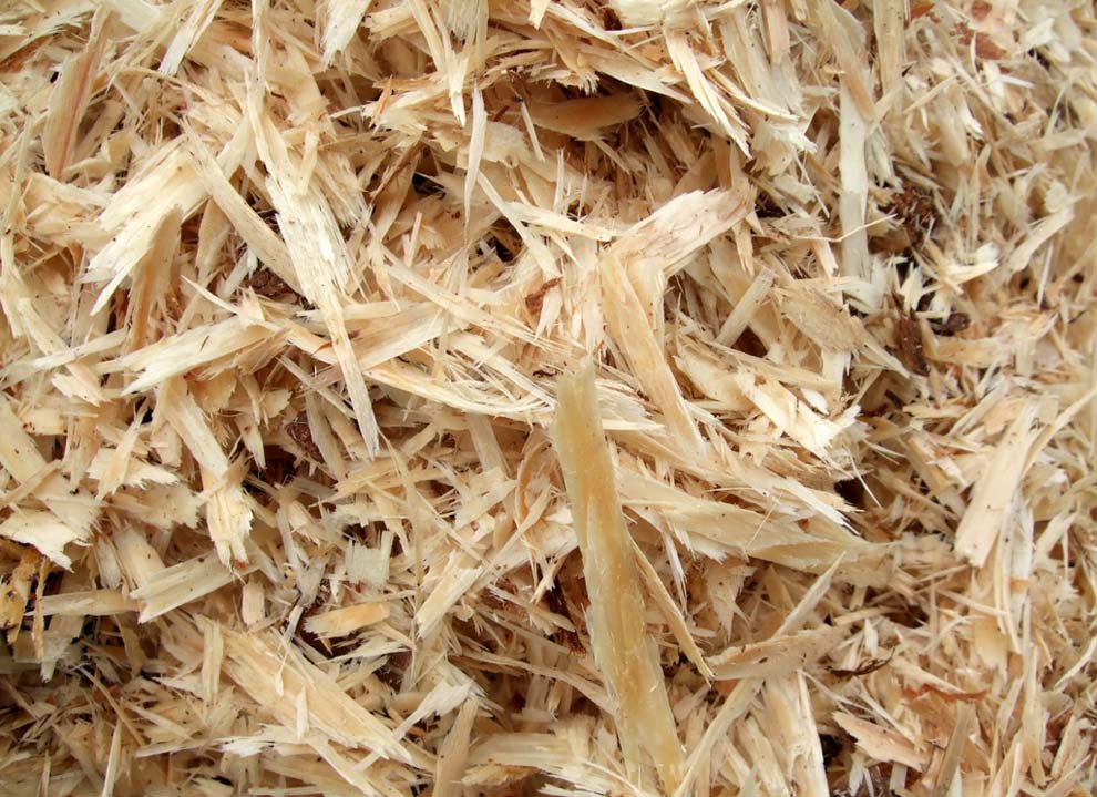 Wood Pulp